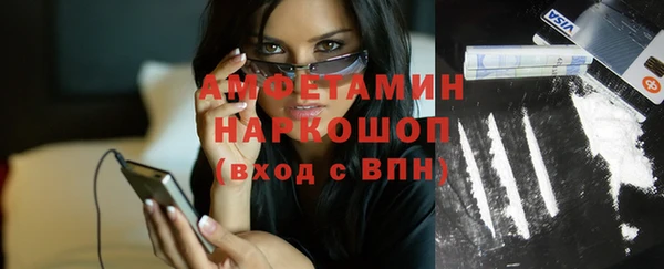мет Алексин