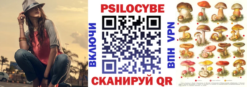 Псилоцибиновые грибы ЛСД  blacksprut маркетплейс  маркетплейс официальный сайт  Гусь-Хрустальный 