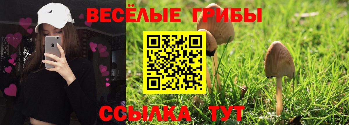 Галлюциногенные грибы GOLDEN TEACHER Гусь-Хрустальный
